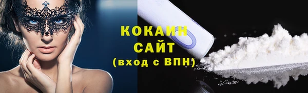 гашик Касимов