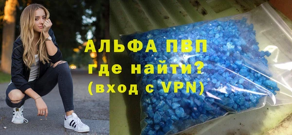 гашик Касимов