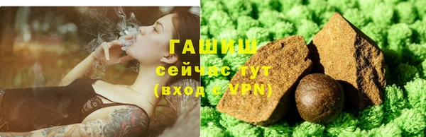 гашик Касимов