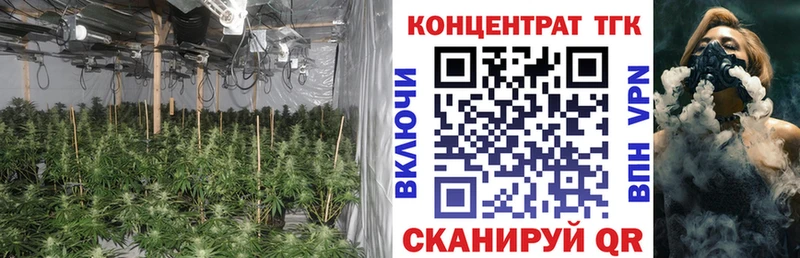Купить закладки  Звенигород  ТГК THC oil 